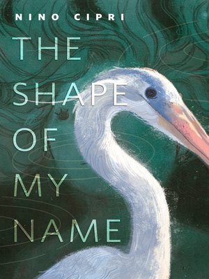 cover image of The Shape of My Name